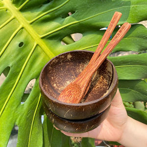 Juego de cuencos y cucharas de cáscara de coco con logotipo personalizado al por mayor, cuenco de cáscara de coco pulido para regalos de empresa - Product Image 5