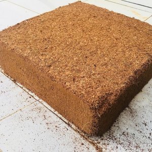 บล็อกมะพร้าว - Product Image 4