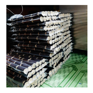 Trozos de caña de azúcar congelados IQF, caña de azúcar congelada a granel, perfecta para la producción de jugo y el uso de confitería - Product Image 1