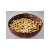Tazón de Ensalada Desechable Ecológico Tallado en Cáscara de Coco, Artesanía de Alta Calidad, Regalo Empresarial, Envío Inmediato, Hecho en Vietnam, Estilo Bohemio