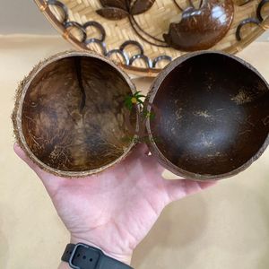 Fabrication de bougies chauffe-plat en noix de COCO, coquille de noix de COCO, fait à la main à la cire de soja, écologique, bol en coquille de noix de COCO - Product Image 5