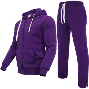 Ensemble de jogging 100% coton personnalisable pour hommes, nouveau style, couleur unie, à capuche, manches raglan, OEM, vêtements de sport lourds pour l'hiver - Product Image 1