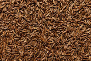 Semillas de alcaravea orgánicas de alta calidad para productos agrícolas al por mayor y al por menor que ayudan a la digestión de la hinchazón - Product Image 4