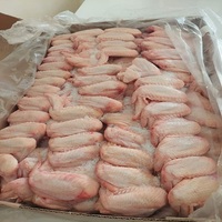 Ailes de poulet surgelées HALAL IQF de qualité supérieure, 3 articulations, nutritives, décaféinées, sans sucre, emballées sous vide, 10 kg, livraison rapide premium
