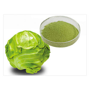 Suministro Directo de Fábrica, Polvo de Repollo Deshidratado, Ingrediente de Grado Alimenticio para Recetas - Product Image 6