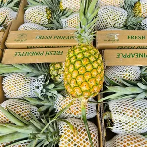 Frische Ananas in Premium qualität-zu wettbewerbs fähigen Preisen-Verpackung nach Bedarf