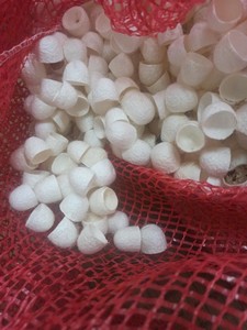 ผ้าไหมบริสุทธิ์รังไหมเวียดนามบรรจุภัณฑ์จำนวนมากเพื่อความงาม - Product Image 3