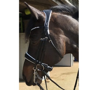 Filete brida portátil de lujo Premium Classic Look FASHIONABLE Smart Crank Noseband Halter Combo - Product Image 1