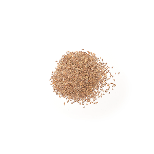 Graines d'aneth en vrac pour la vente aux commerçants d'épices et aux entreprises de transformation des aliments - Product Image 4