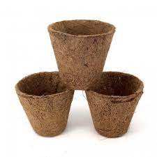 Cocopots para compradores mayoristas - Product Image 5