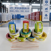 Kabel Listrik Tembaga Murni Berisolasi PVC BV BVR Inti Padat Fleksibel untuk Instalasi Rumah dan Bangunan 1.5 2.5 4 6 Mm²
