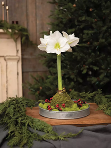 Nouveau plateau de jardinière en métal en fer galvanisé design fait à la main pour le jardin exportateur en gros de l'Inde - Product Image 6