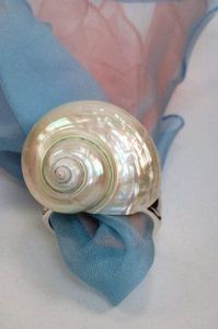 Rond de serviette coquillage fabriqué à partir de coquillage véritable pour restaurant côtier élégant et décoration de table à la maison Vietnam - Product Image 3