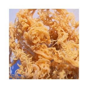 Rau Củ Biển Vùng Biển Maine Hoang Dã Của Ailen Rêu/Cá Đuối Ailen/Cá Giòn Khô Không Muối Eucheuma Cottonii - Product Image 1