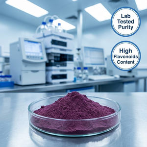 Extrait de gingembre noir Kaempferia Parviflora Poudre de racine <span class=keywords><strong>10</strong></span> 1 Énergie Endurance Libido Soutien Complément alimentaire naturel à base de plantes - Product Image 3