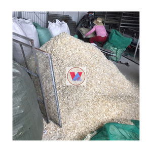 Écaille de poisson cru de haute qualité en vrac avec un prix bon marché pour l'extrait de collagène // écailles de poisson séchées 2024 - Product Image 3