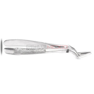 Pince d'extraction dentaire # 51L Instruments d'extraction dentaire en acier inoxydable de qualité supérieure pour la chirurgie buccale des racines supérieures gauche - Product Image 3