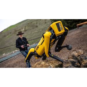 Tesla RoboDog l'avenir des animaux intelligents - Product Image 5