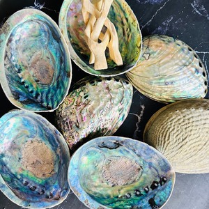 ARTESANÍA NATURAL PULIDO ABALONE SHELL RAINBOW LIGHT SAGE SMUDGING REPTIL COMIDA DECORACIÓN REGALOS AMELIA + 84855014447 - Product Image 3