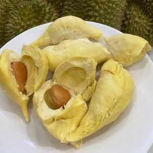 Durian glacé à prix compétitif avec graines Ms sofia - Product Image 1