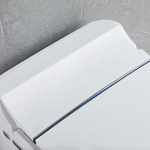 Распродажа, керамический унитаз - Product Image 3