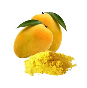 Beste Kwaliteit Best Verkopende Bulklevering 100% Puur Fruit Extract Mangopoeder Voor Levensmiddelenadditief En Drank Van Indiase Exporteur