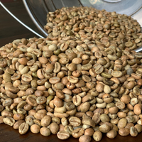 Café Vert Robusta de Haute Qualité 100% du Vietnam, Fabricant ODM, Saveur Chocolat, Traitement au Miel, Marque Sinh Nguyen