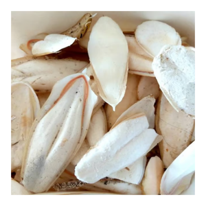 Espina de sepia de excelente rendimiento disponible a granel de Vietnam - Product Image 3