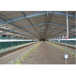 Granjas Pollos Engorde /naves Industriales Para El Cuidado De Pollos / Almacenes Industriales De Pollos - Product Image 5