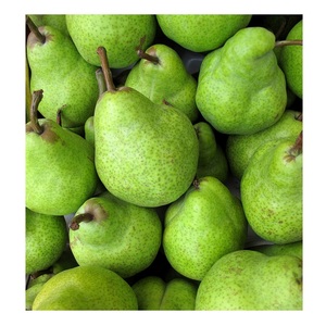 Pura calidad natural fruta fresca peras dulces Francia proveedor venta a granel en línea - Product Image 1