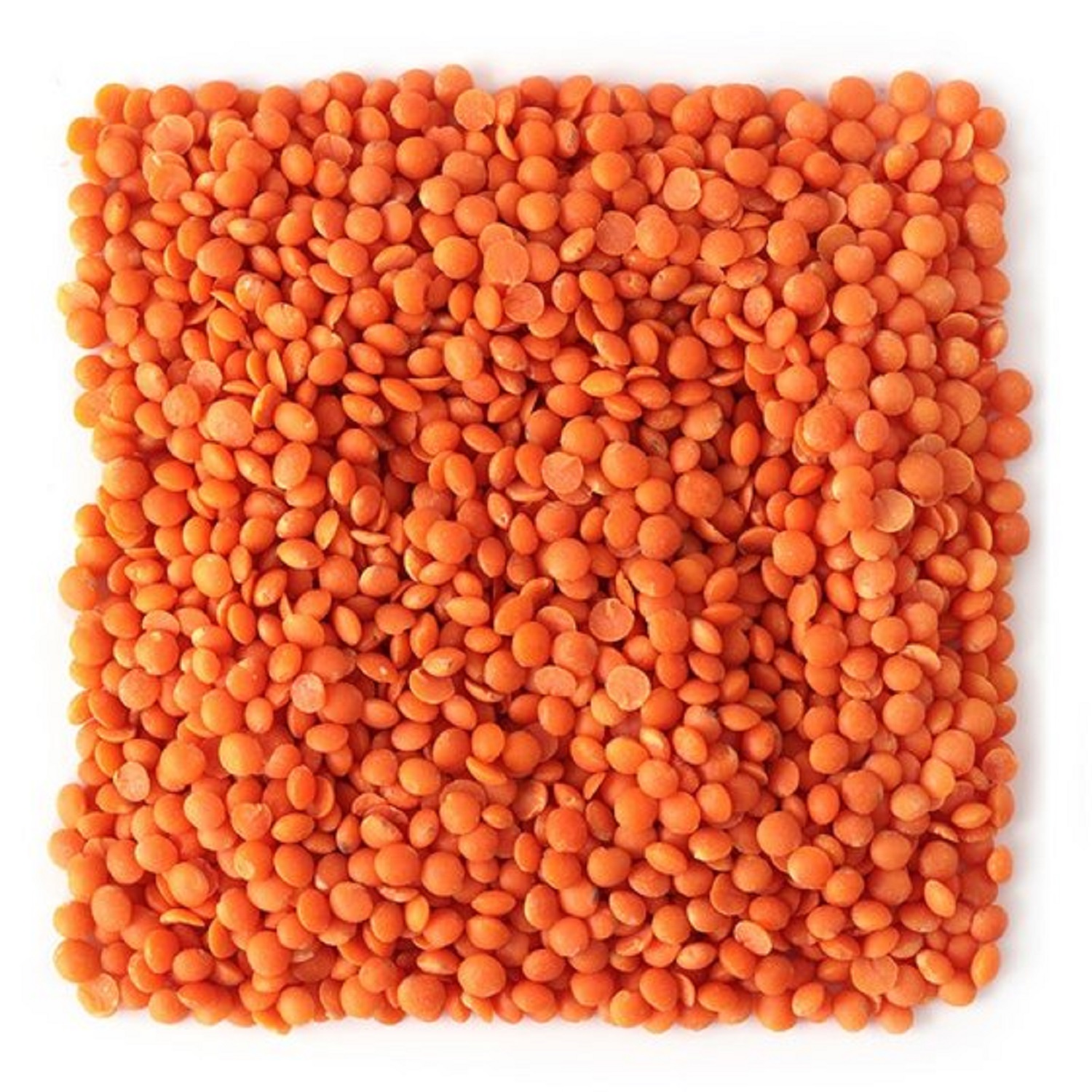 Lentil merah organik alami/lentil merah terpisah dengan harga murah