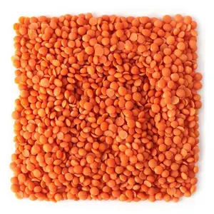 Natural Organic Red Lentils / Split Red Lentils With Cheap Price