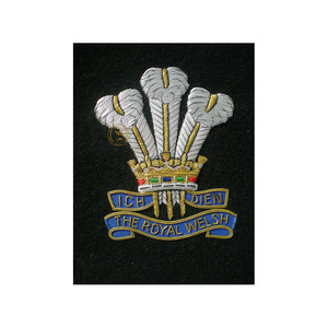 Insignias bordadas a mano uniformes ceremoniales chaqueta real cosido lingotes alambre níquel latón tela personalizada al por mayor - Product Image 1