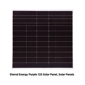 Panel Solar Eternal Energy Purple 125 - Product Image 2