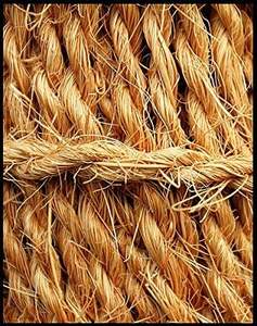 Shrekha Creations 100% fil de coco biologique de qualité supérieure fabriqué sur mesure 100% tourbe certifiée en fibre de coco pour la revente - Product Image 6