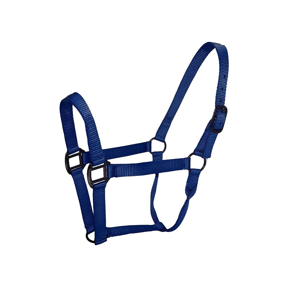 ตามที่แสดง