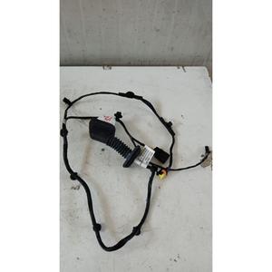 Serie DR 4.0 (21>) CABLAGGIO PORTA ANTERIORE SINISTRA 806000679AA SQRE4G15C - Product Image 3