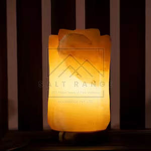Lámpara de Sal del Himalaya 100% Pura, Tallada a Mano en Forma de Flor, de Alta Calidad, Tacto Real, Decoración para el Hogar, Mejor Precio, Nuevo en Existencia - Product Image 5