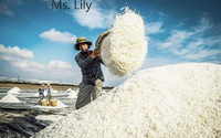 Natural Refined White Powder Table Salt 100% 99% Purity for Food Processing Bulk Supply | Ms Lily VIET DELTA 12 Months Shelf