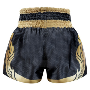 Pantalones Cortos de Artes Marciales de Muay Thai de Alta Calidad, Impresos por Transferencia de Calor, Elásticos, Transpirables, de Secado Rápido, Ligeros, con Logotipo y Color Personalizados - Product Image 5