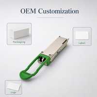Module émetteur-récepteur optique compact 200G QSFP56, interface fibre, prêt pour rack, emballage OEM personnalisé