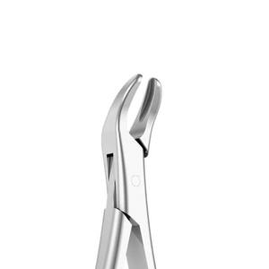 Alicates de extracción dental de primera calidad Pinzas de extracción de dientes quirúrgicos Instrumentos de acero inoxidable Servicios OEM ofrecidos SAJ Surgical - Product Image 5