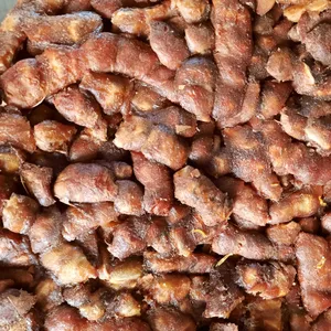 TAMARIN avec GRAINES 20-50 KG PAR SAC pour ÉPICES ou USAGE COSMÉTIQUE - Product Image 1