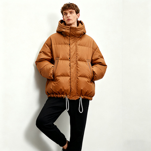 Chaqueta Acolchada de Algodón para Mujer OEM, Impermeable, para Viajes de Invierno, con Capucha, Estilo Urbano, Cuello Alto, Logotipo Frontal Personalizado - Product Image 3