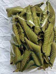 Feuilles de goyave séchées de haute qualité fabriquées au Vietnam - Product Image 5