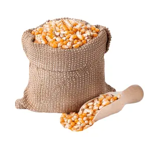 Высококачественные умеренные желтые и белые кукурузные зерна, доступные для продажи по низкой цене