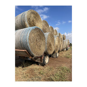 Heno de pasto disponible en grandes lotes compra al por mayor entrega rápida de primera calidad - Product Image 5