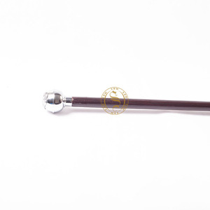 Bâton de cérémonie et bâton de marche - Personnalisable, haute qualité, sport, extérieur - Product Image 4