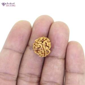 Arihant <b>Gems</b> & Jewels Brown 3 Mukhi Indian Rudraksha <b>Stone</b> Beads - Product Image 4