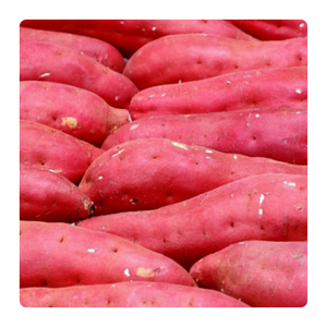 Cuando se almacena correctamente en un lugar fresco y seco, permanece fresco durante mucho tiempo, cortándolo finamente para usarlo en ensaladas y platos fríos. - Product Image 1